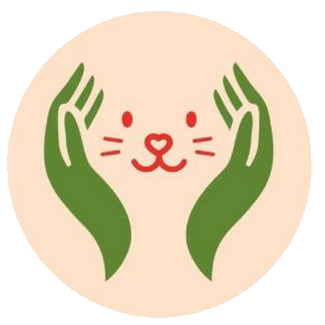 logo kandy chats